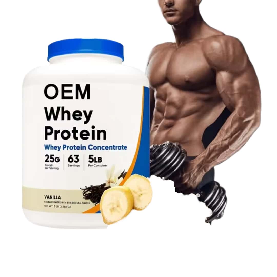 OEM/ODM Wholesale Blueberry Muffin Whey Protein Powder 1 Scoop Increase Daily Protein Intake for Adults Workouts OEM/ODM